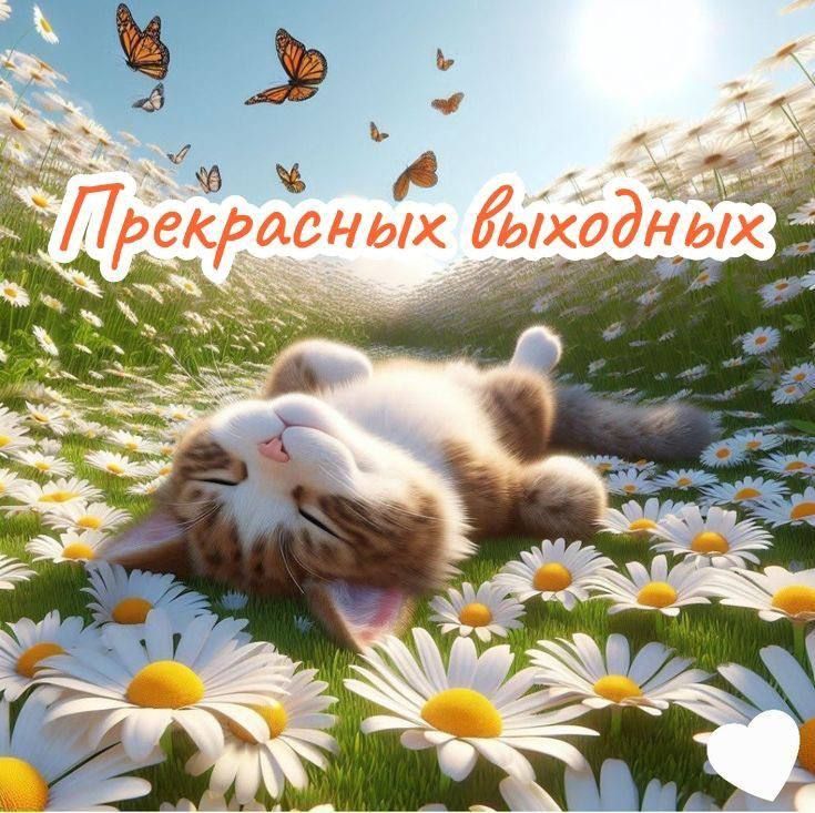 Прекрасных выходных