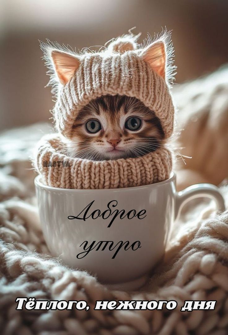Доброе утро Тёплого, нежного дня