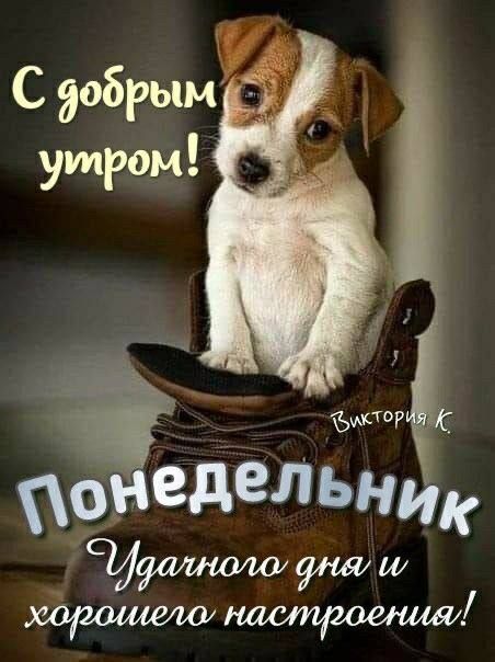 С добрым утром!
Понедельник
Удачного дня и хорошего настроения!