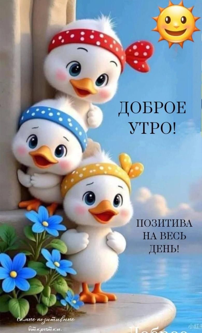 ДОБРОЕ УТРО!
ПОЗИТИВА НА ВЕСЬ ДЕНЬ!