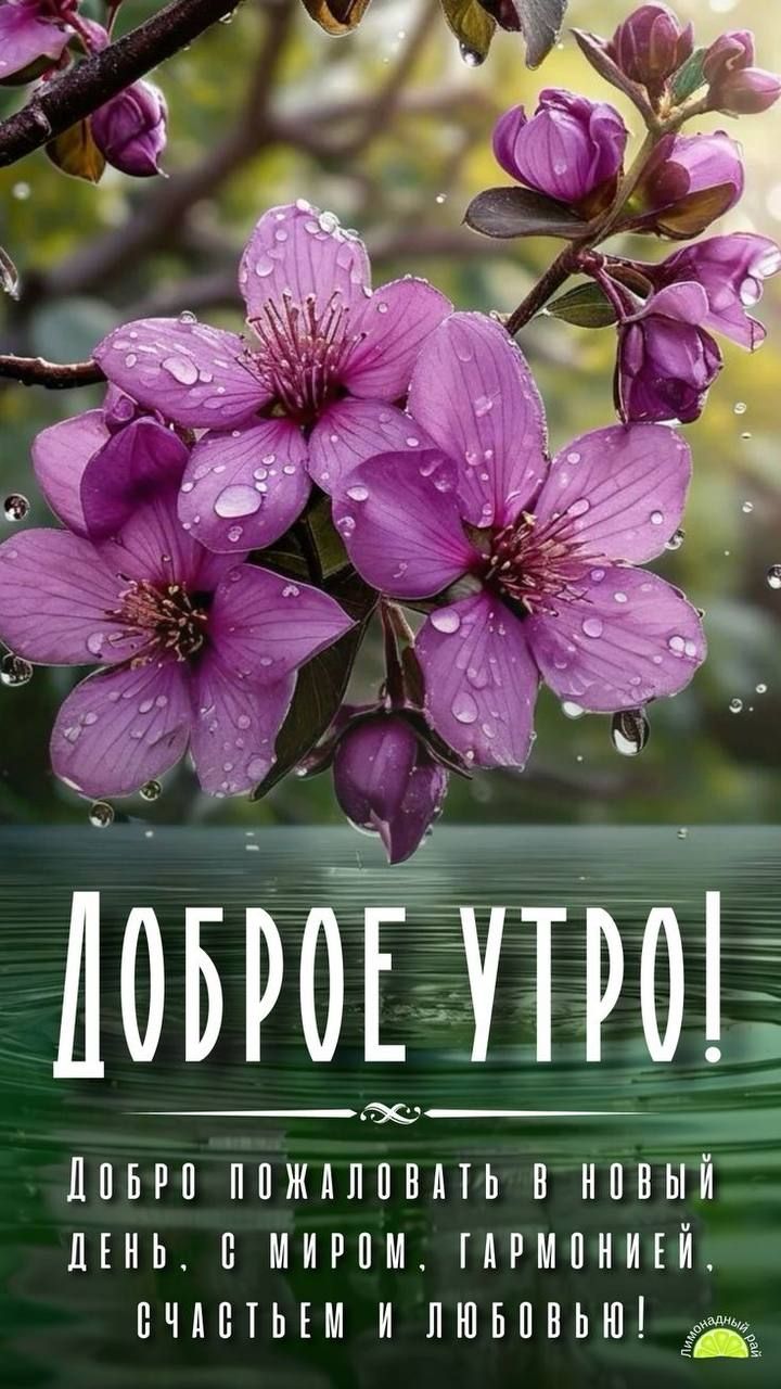 ДОБРОЕ УТРО!
Добро пожаловать в новый день, с миром, гармонией, счастьем и любовью!