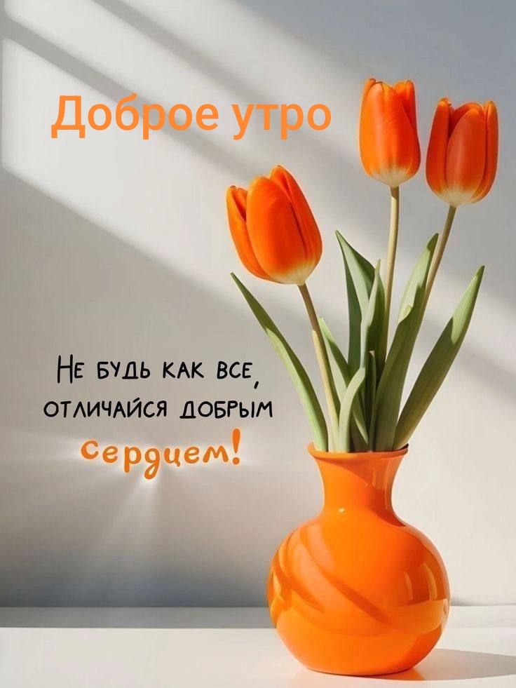 Доброе утро
Не будь как все, отличайся добрым сердцем!