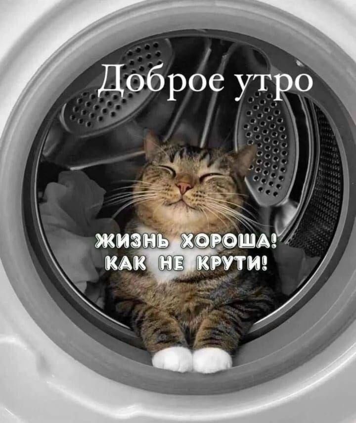 Доброе утро
Жизнь хороша! Как не крути!
