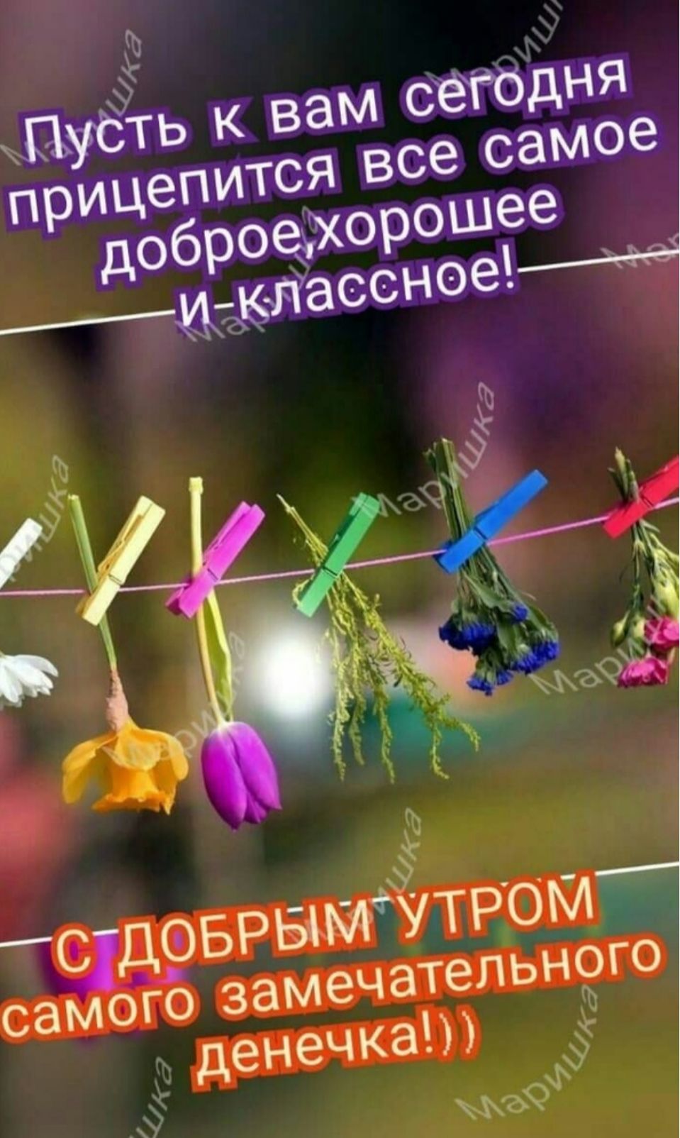 Пусть к вам сегодня прицепится все самое доброе, хорошее и классное! С ДОБРЫМ УТРОМ самого замечательного денечка!!)