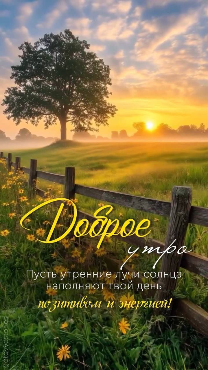 Доброе утро
Пусть утренние лучи солнца наполняют твой день позитивом и энергией!