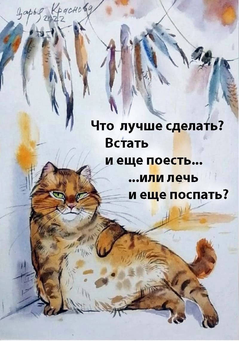 Что лучше сделать? Встать и еще поесть... ...или лечь и еще поспать?