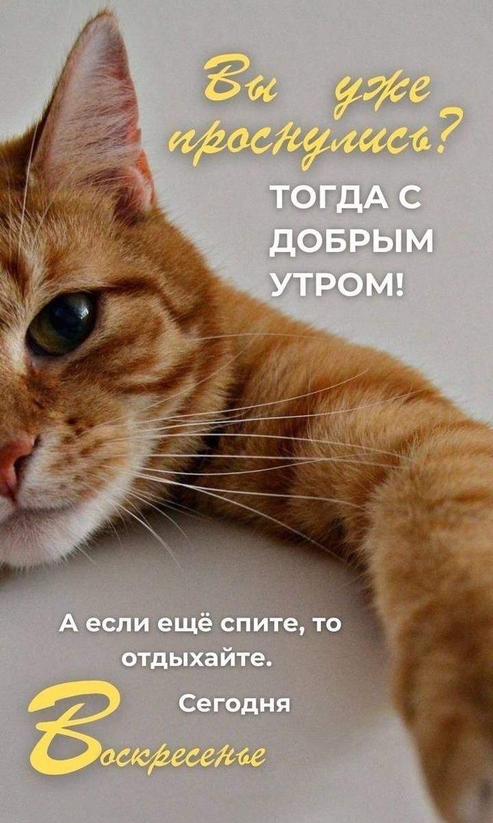 Вы уже проснулись? Тогда с добрым утром! А если ещё спите, то отдыхайте. Сегодня Воскресенье.