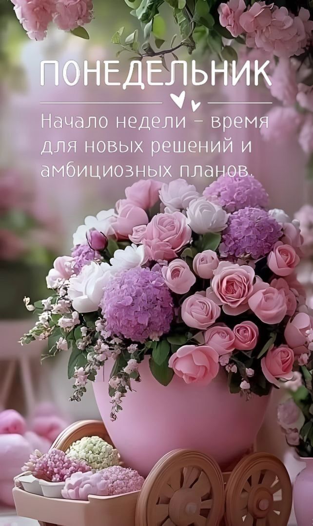 ПОНЕДЕЛЬНИК
Начало недели – время для новых решений и амбициозных планов.