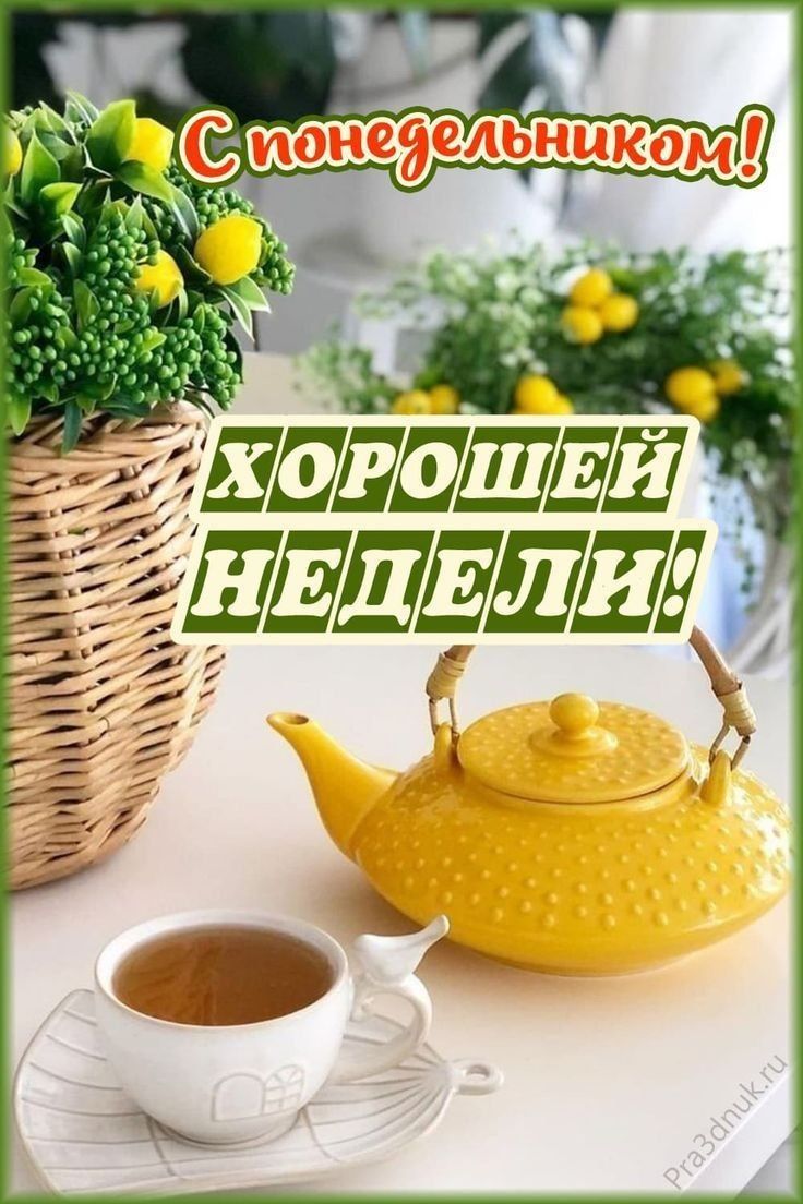 С понедельником! ХОРОШЕЙ НЕДЕЛИ!