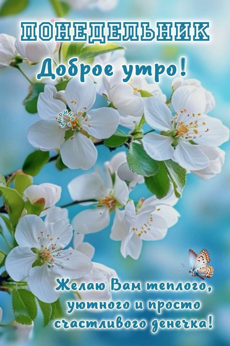 ПОНЕДЕЛЬНИК
Доброе утро!
Желаю Вам теплого, уютного и просто счастливого денечка!