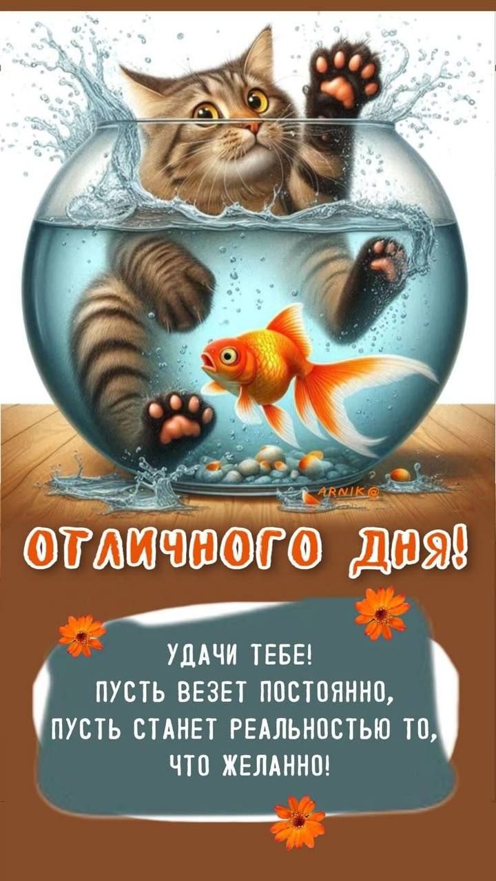 ОТЛИЧНОГО ДНЯ!
УДАЧИ ТЕБЕ! ПУСТЬ ВЕЗЕТ ПОСТОЯННО, ПУСТЬ СТАНЕТ РЕАЛЬНОСТЬЮ ТО, ЧТО ЖЕЛАНО!