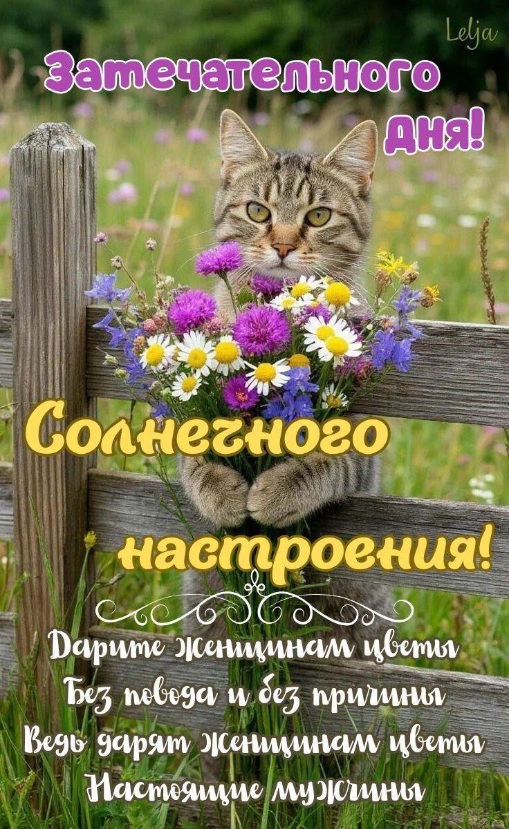Замечательного дня!
Солнечного настроения!
Дарите женщинам цветы
Без повода и без причины
Ведь дарят женщинам цветы
Настоящие мужчины