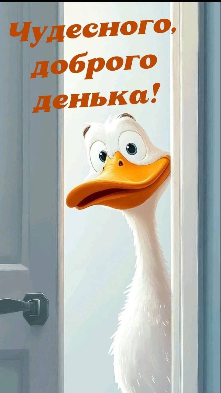 Чудесного, доброго денька!