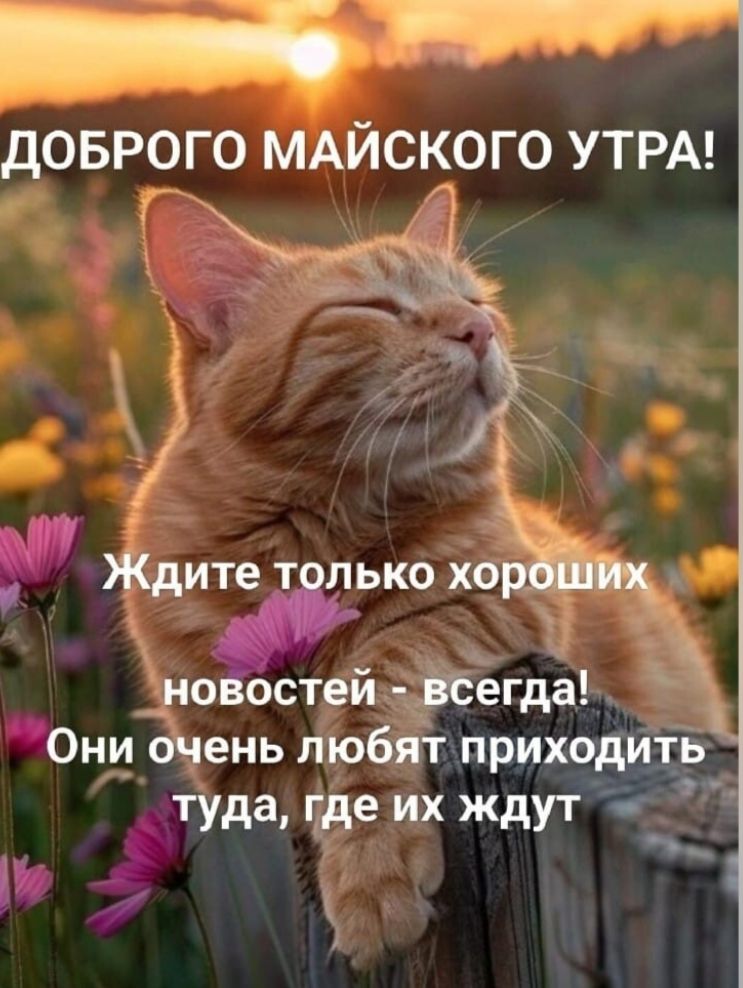 ДОБРОГО МАЙСКОГО УТРА!
Ждите только хороших
новостей - всегда!
Они очень любят приходить
туда, где их ждут