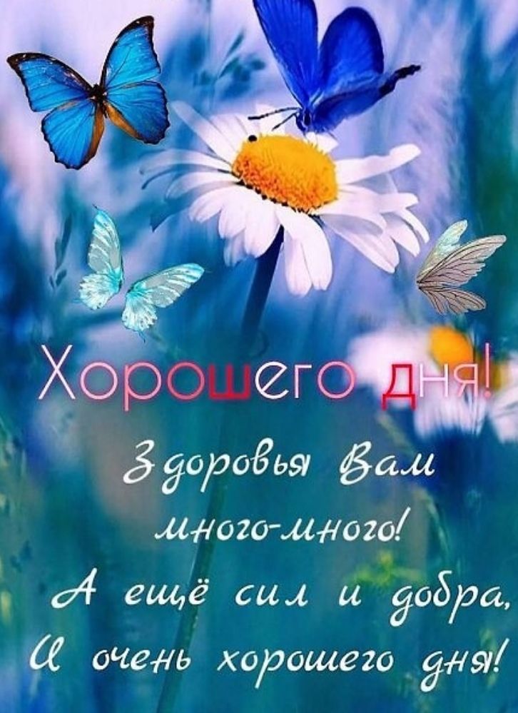 Хорошего дня!
Здоровья Вам много-много!
А ещё сил и добра,
И очень хорошего дня!