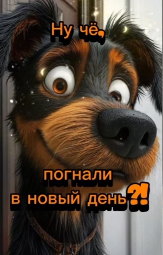 Ну чё, погнали в новый день?!