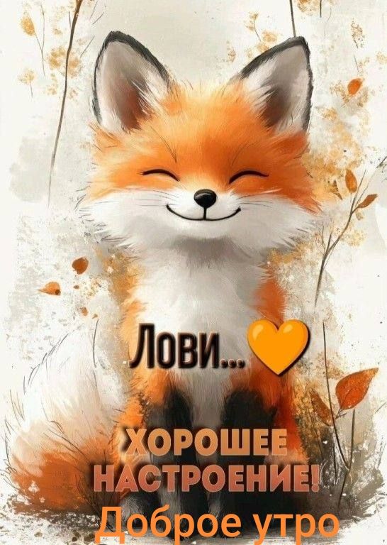 Лови...❤️ ХОРОШЕЕ НАСТРОЕНИЕ! Доброе утро
