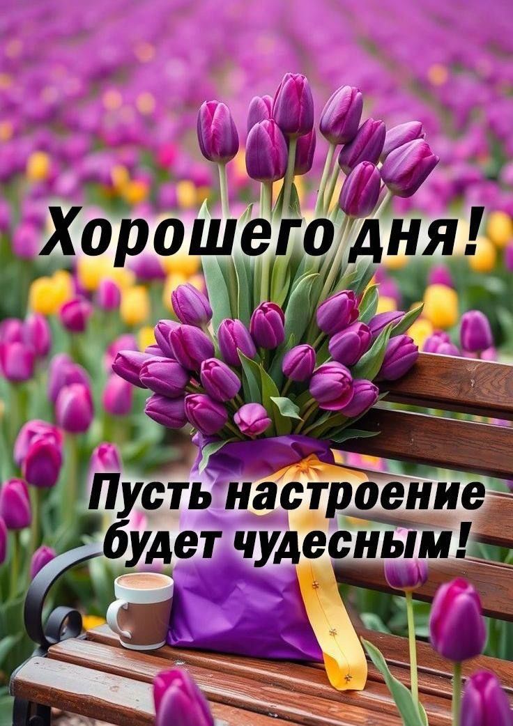 Хорошего дня! Путь настроение будет чудесным!