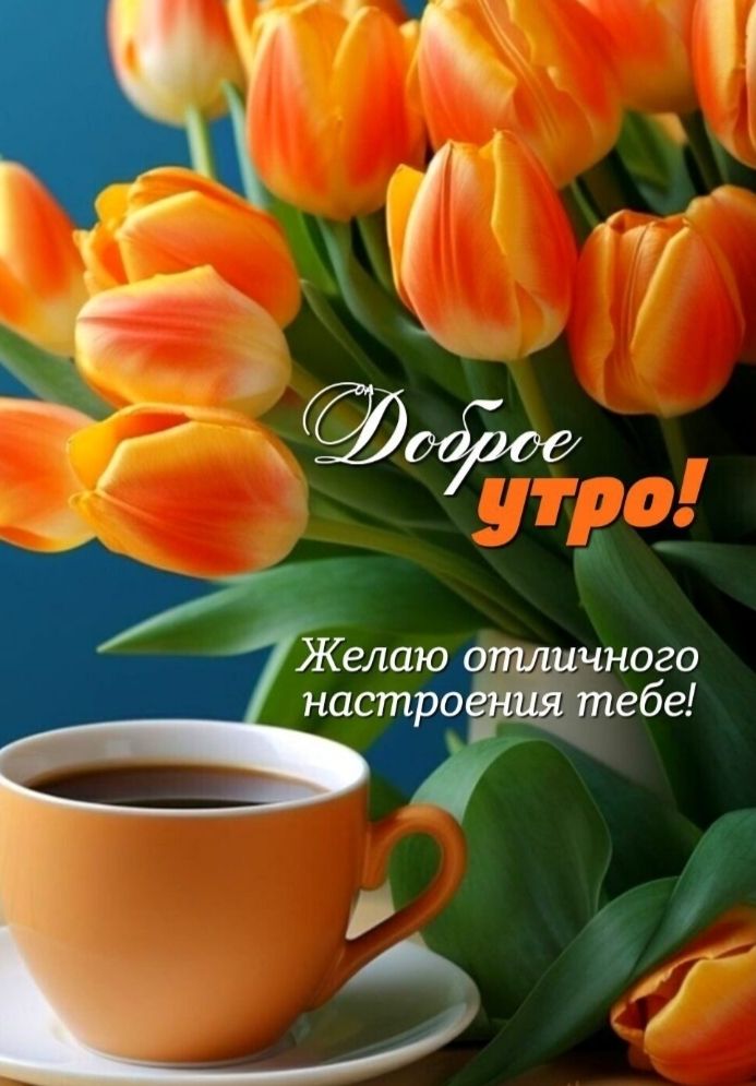 Доброе утро! Желаю отличного настроения тебе!