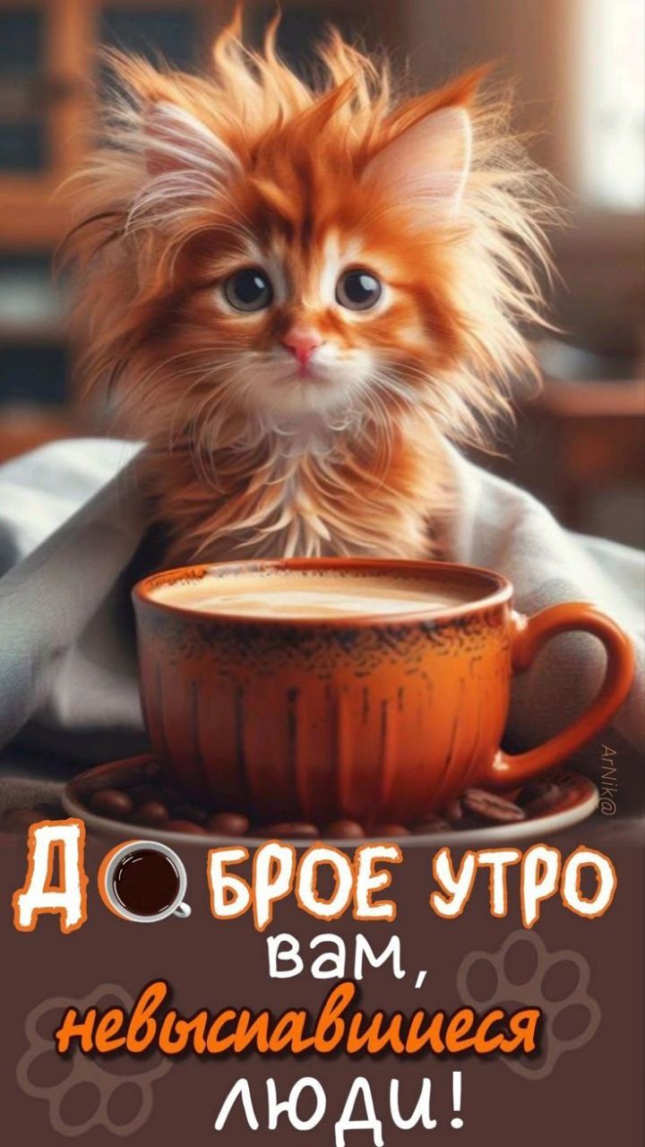 Доброе утро вам, невысыпавшиеся люди!
