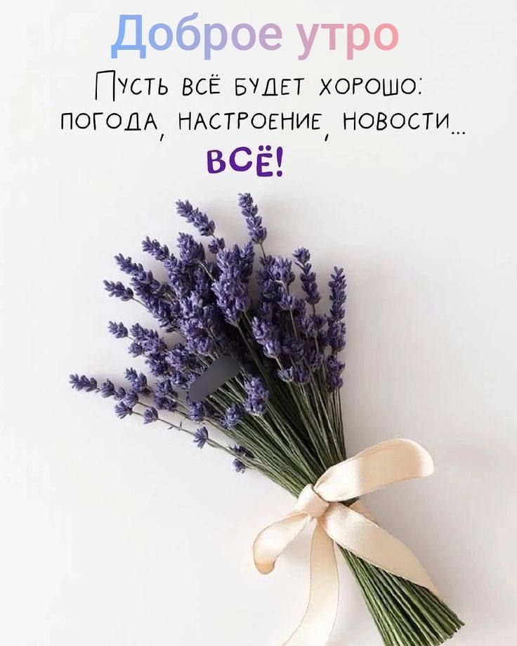 Доброе утро
Пусть всё будет хорошо: погода, настроение, новости... ВСЁ!
