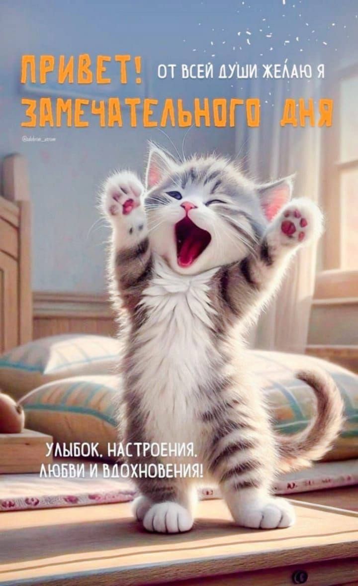 ПРИВЕТ! ОТ ВСЕЙ ДУШИ ЖЕЛАЮ Я ЗАМЕЧАТЕЛЬНОГО ДНЯ
УЛЫБОК. НАСТРОЕНИЯ. ЛЮБВИ И ВДОХНОВЕНИЯ!