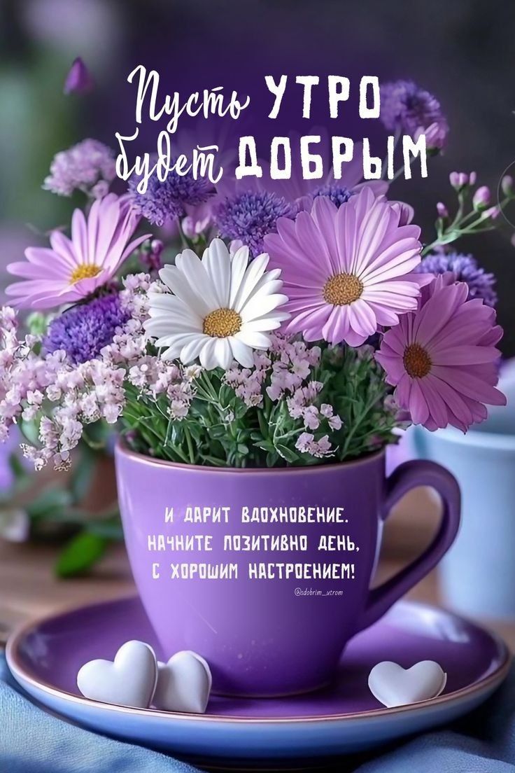 Пусть УТРО будет ДОБРЫМ
и дарит вдохновение. 
Начните позитивно день, 
с хорошим настроением!