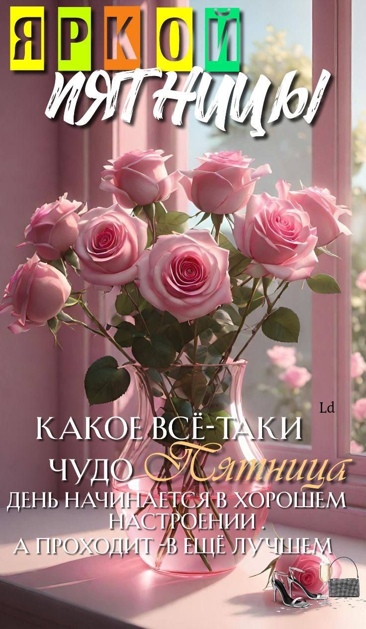ЯРОКОЛЬ ЯГНИЦЫ! КАКОЕ ВСЁ-TAKI ЧУДО ПЯТНИЦА ДЕНЬ НАЧИНАЕТСЯ В ХОРОШЕМ НАСТРОЕНИИ А ПРОХОДИТ В ЕЩЕ ЛУЧШЕМ