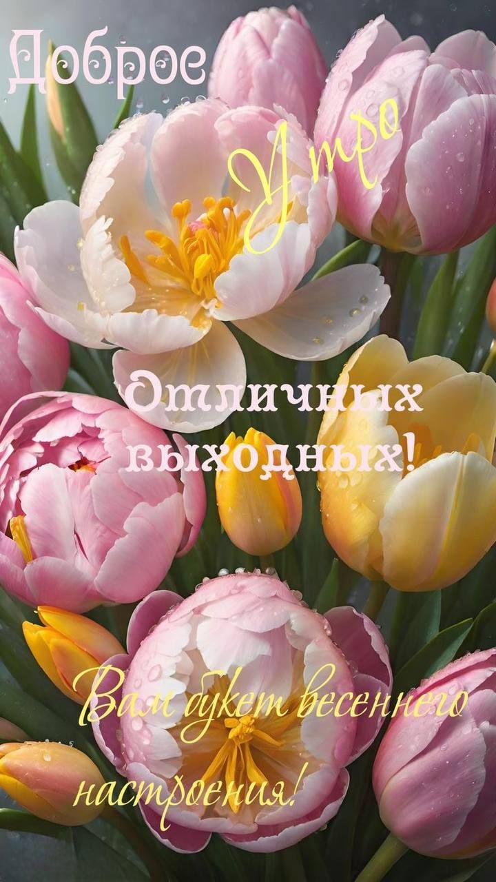 Доброе Утро
Отличных выходных!
Вам будет весеннего настроения!