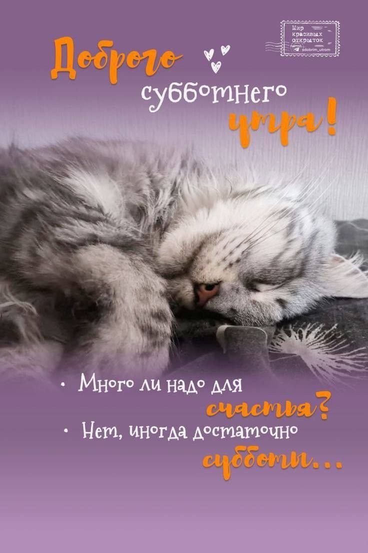 Доброе субботнего утра! Много ли надо для счастья? Нет, иногда достаточно субботи...