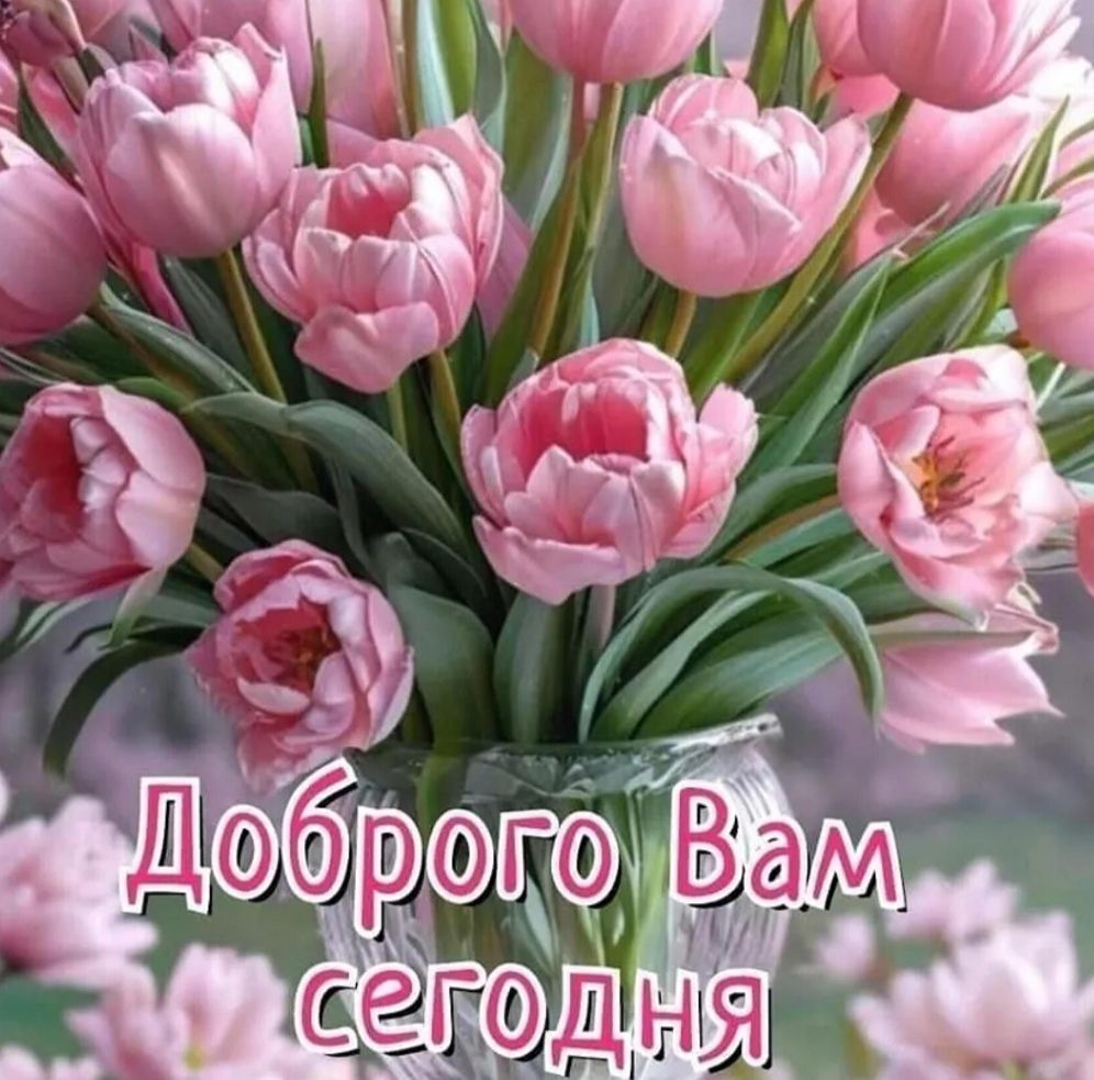 ДоброГО Вам сегодня