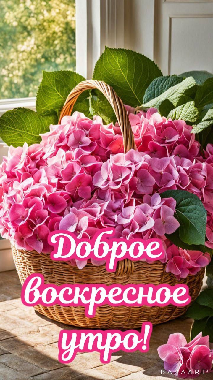 Доброе воскресное утро!