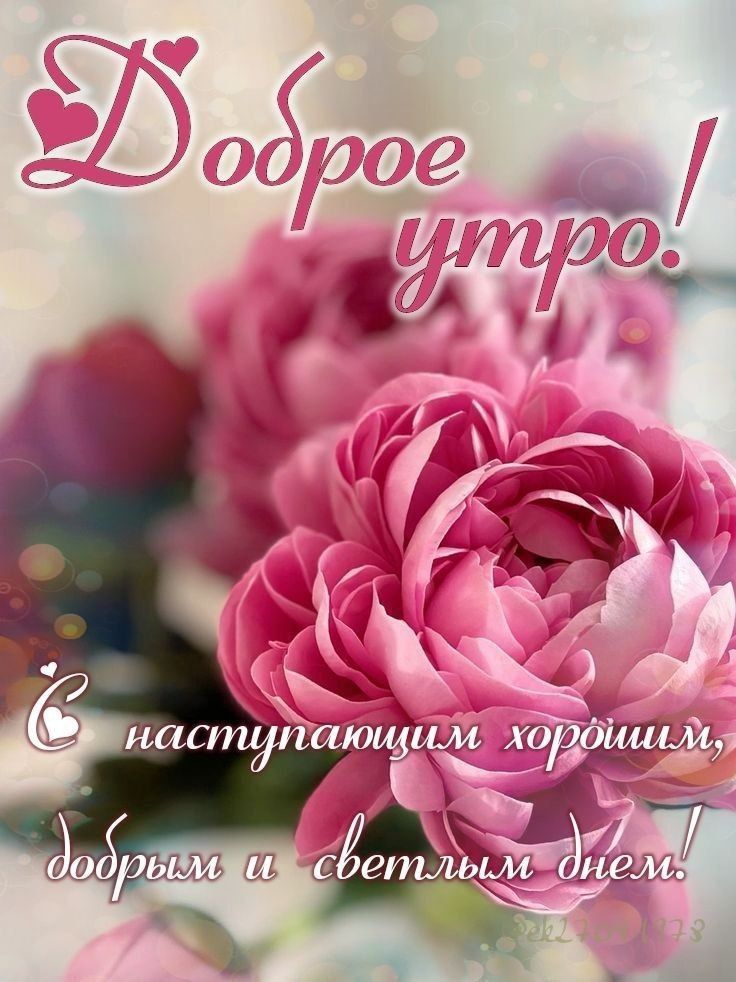 Доброе утро!
С наступающим хорошим, добрым и светлым днем!