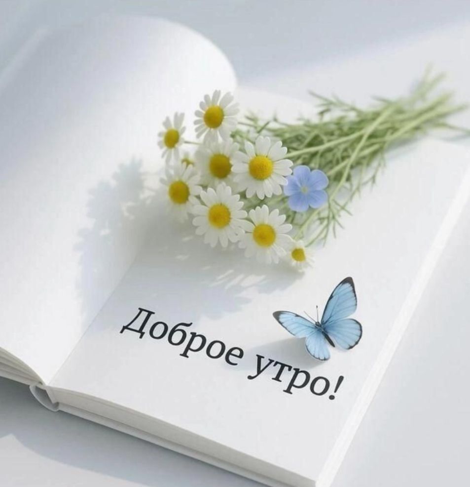 Доброе утро!