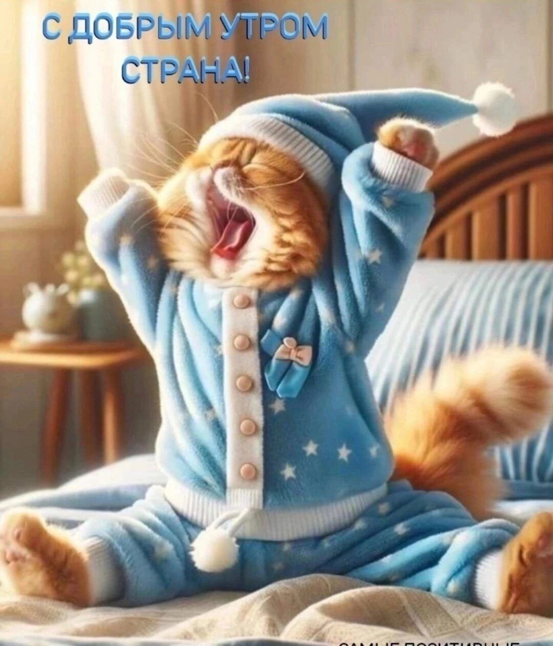 С ДОБРЫМ УТРОМ СТРАНА!