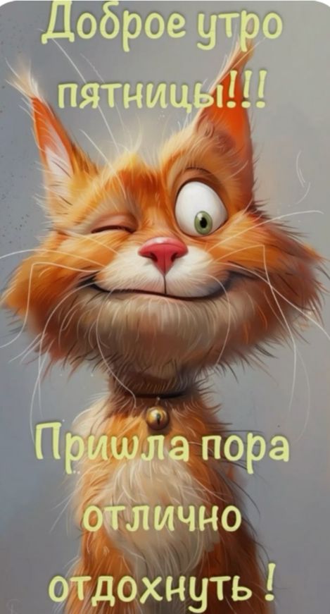 Доброе утро пятницы!!! Пришла пора отлично отдохнуть !