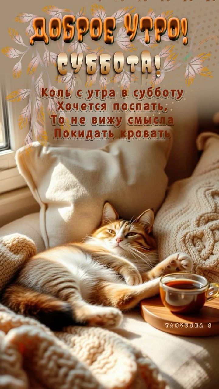 ДОБРОЕ УТРО!
СУББОТА!
Коль с утра в субботу
Хочется поспать,
То не вижу смысла
Покидать кровать