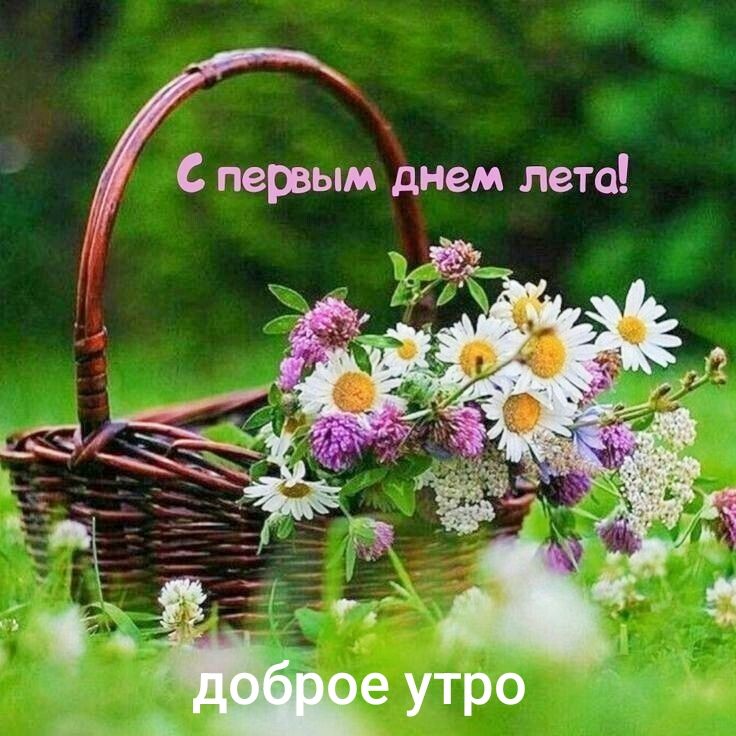 С первым днем лета! доброе утро