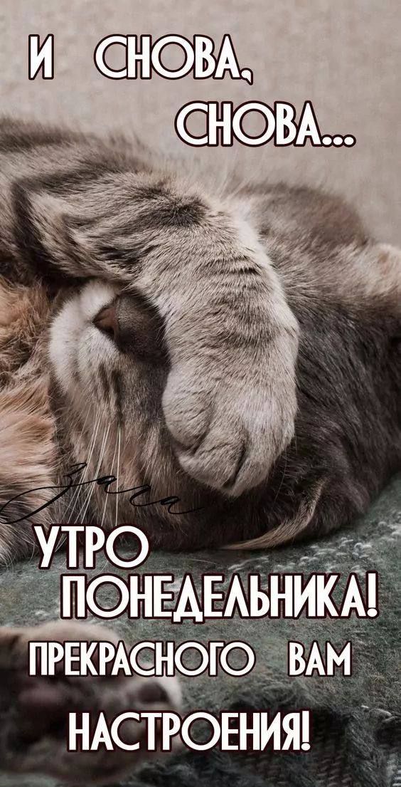 И снова, снова... УТРО ПОНЕДЕЛЬНИКА! ПРЕКРАСНОГО ВАМ НАСТРОЕНИЯ!
