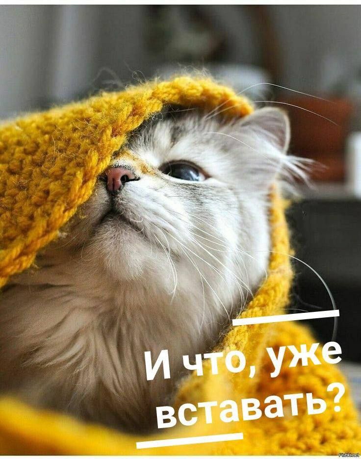 И что, уже вставать?
