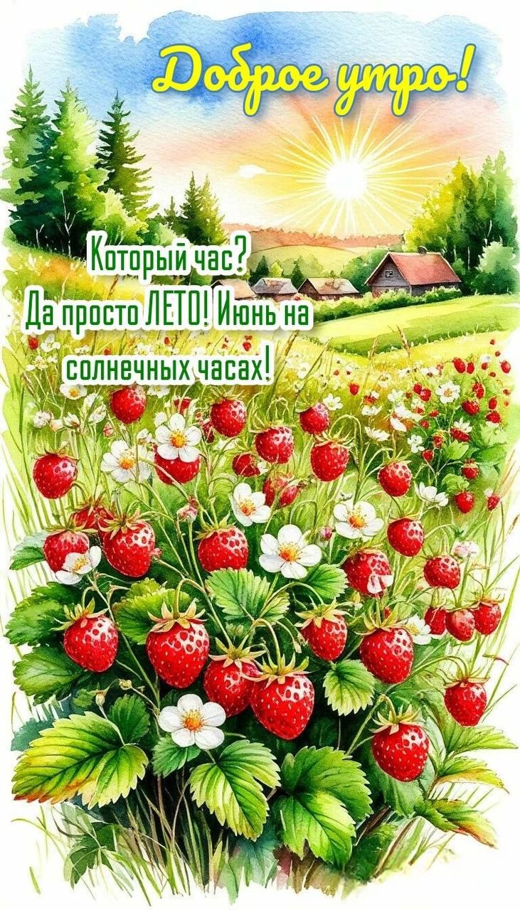 Доброе утро! Какой час? Да просто ЛЕТО! Июнь на солнечных часах!