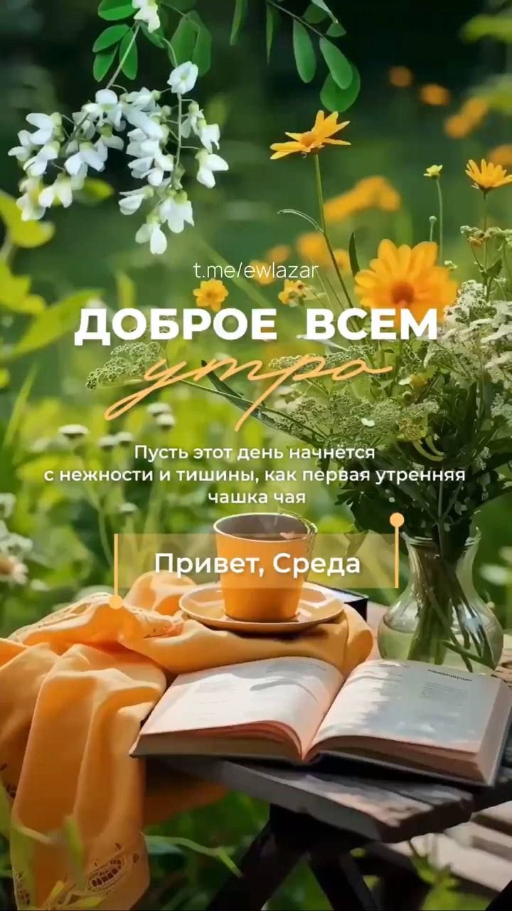 ДОБРОЕ ВСЕМ утро. Пусть этот день начнётся с нежности и тишины, как первая утренняя чашка чая. Привет, Среда.