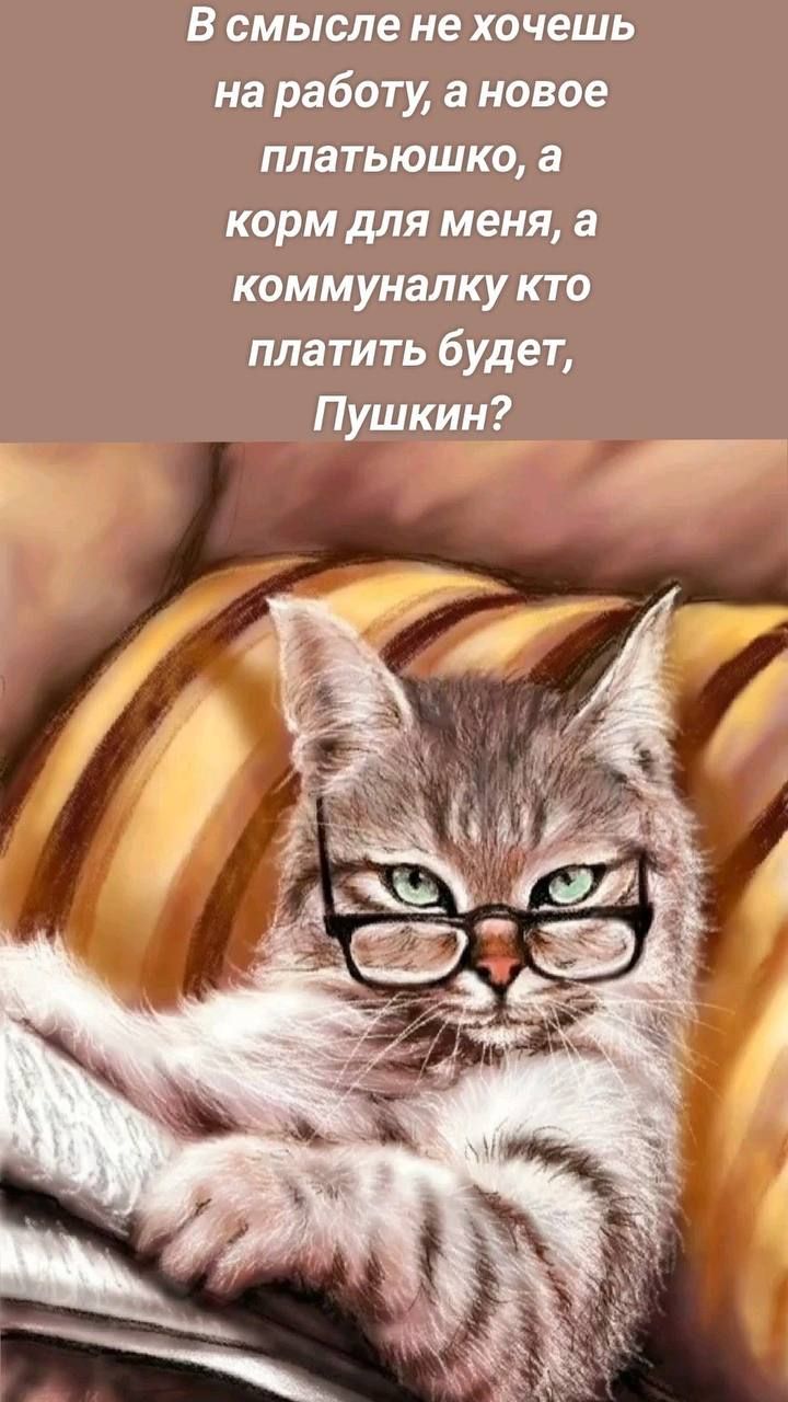 В смысле не хочешь на работу, а новое платьюшко, а корм для меня, а коммуналку кто платить будет, Пушкин?