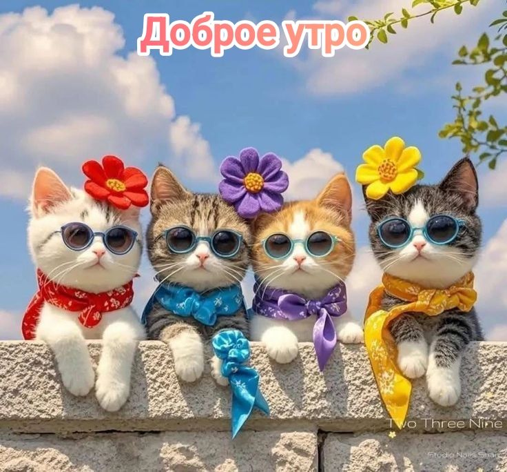 Доброе утро