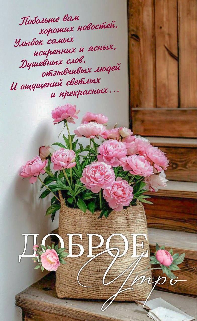 Побольше вам хороших новостей, Улыбок самых искренних и ясных, Душевных слов, отзывиых людей И ощущений светлых и прекрасных... ДОБРОЕ УТРО