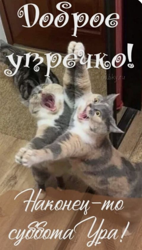 Доброе утречко! Наконец-то суббота Ура!