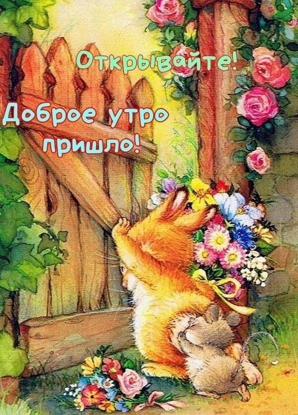 Открывайте! Доброе утро пришло!