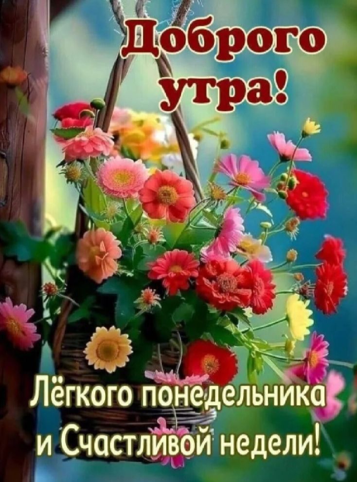 Доброе утро! Лёгкого понедельника и Счастливой недели!
