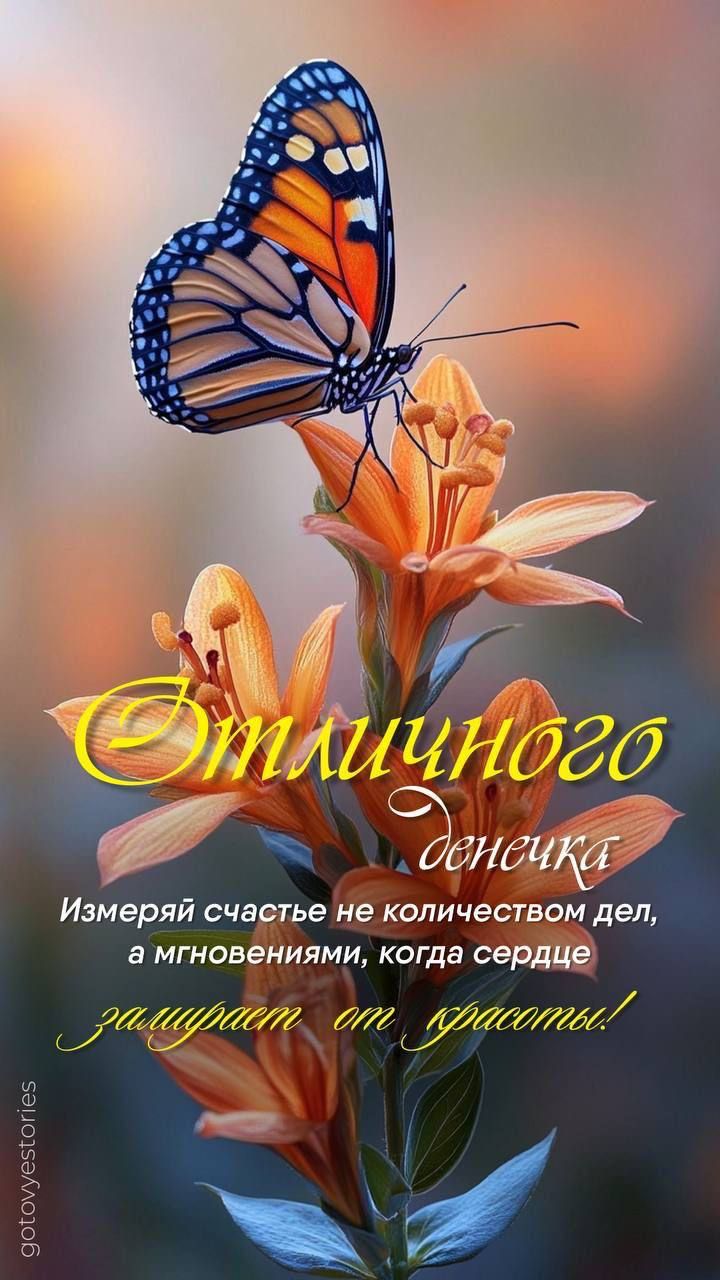 Отличного денечка
Измеряй счастье не количеством дел, а мгновениями, когда сердце
заполняет от красоты!