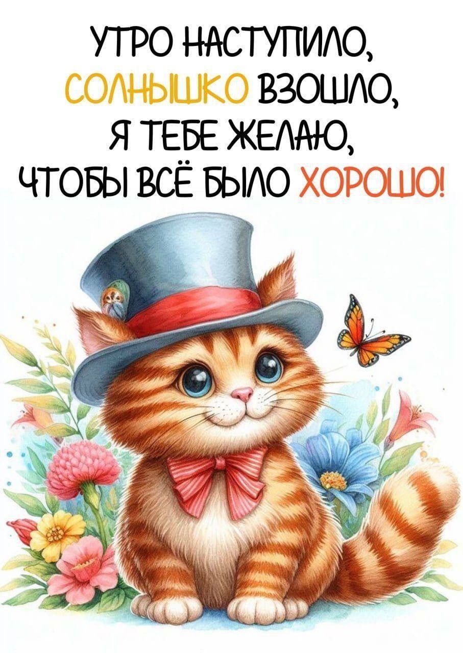 УТРО НАСТУПИЛО, СОЛНЫШКО ВЗОШЛО, Я ТЕБЕ ЖЕЛАЮ, ЧТОБЫ ВСЁ БЫЛО ХОРОШО!